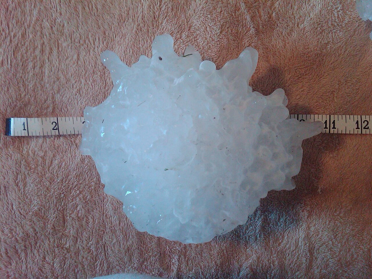 Piedra de granizo récord de Estados Unidos caída en Vivian (Dakota del Sur) el 23 de julio de 2010: unos 20 cm de diámetro y casi 0,9 kg. Su superficie lobulada refleja un crecimiento irregular con pr
