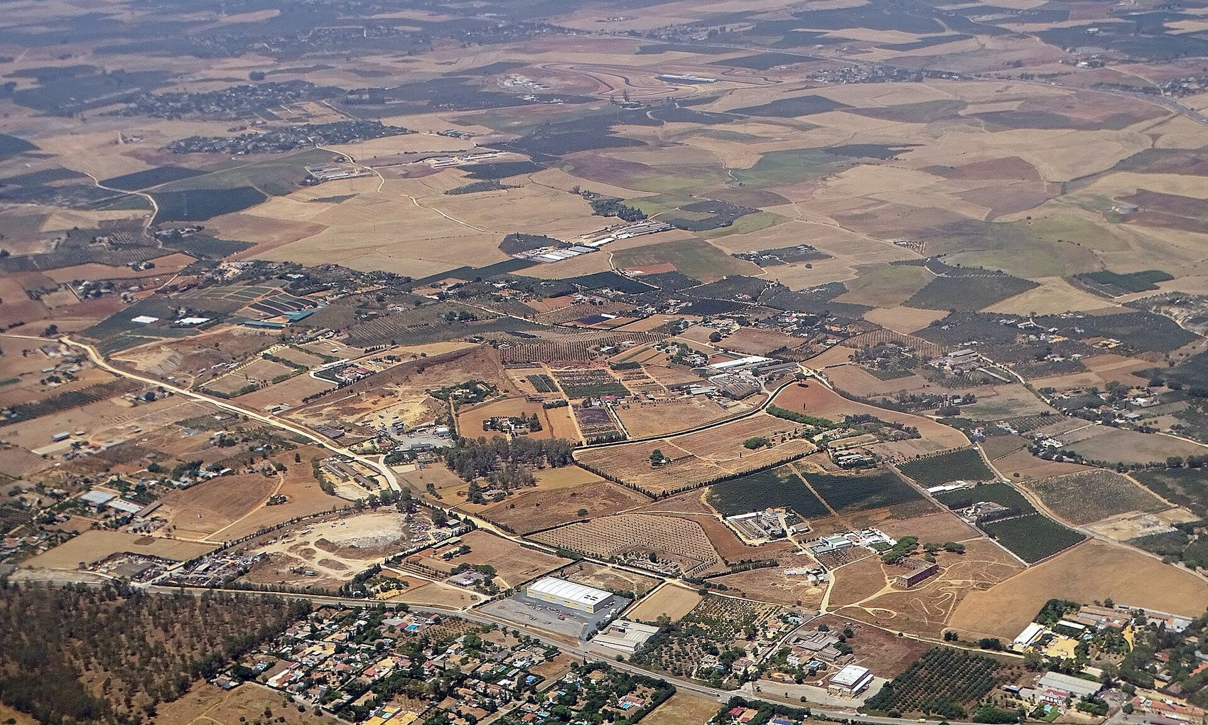 Imagen 3. Los campos de los alrededores de Carmona vistos desde el aire en el mes de julio: parcelas agostadas, olivares y urbanizaciones dispersas.