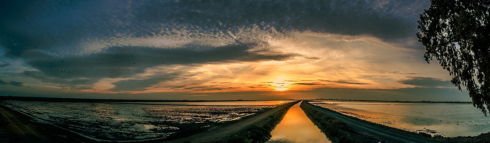 Imagen 5. Amanecer de febrero en el Brazo del Este, en las marismas del Guadalquivir: un canal recto entre parcelas inundadas.